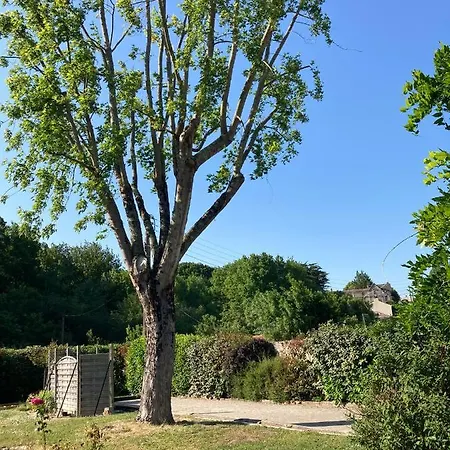 Lägenhet Chai Jean Camelia Piscine Et *