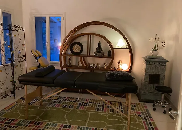 Chai Jean Camelia Piscine Et Appartement Saint-Jean-de-Boiseau